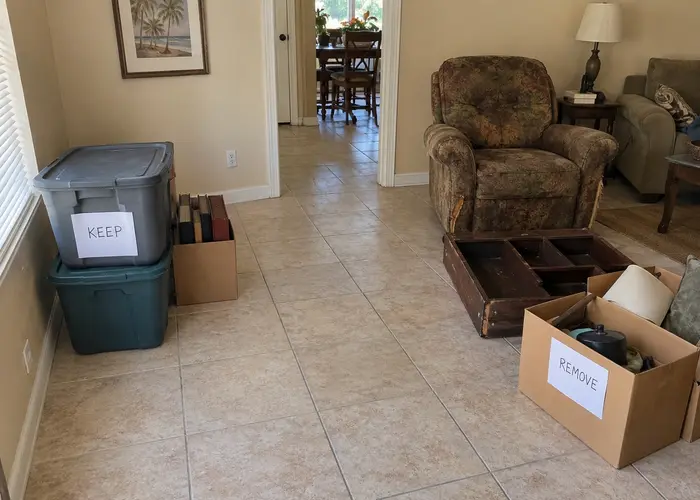 Keep bins and a remove box separated beside furniture in a room