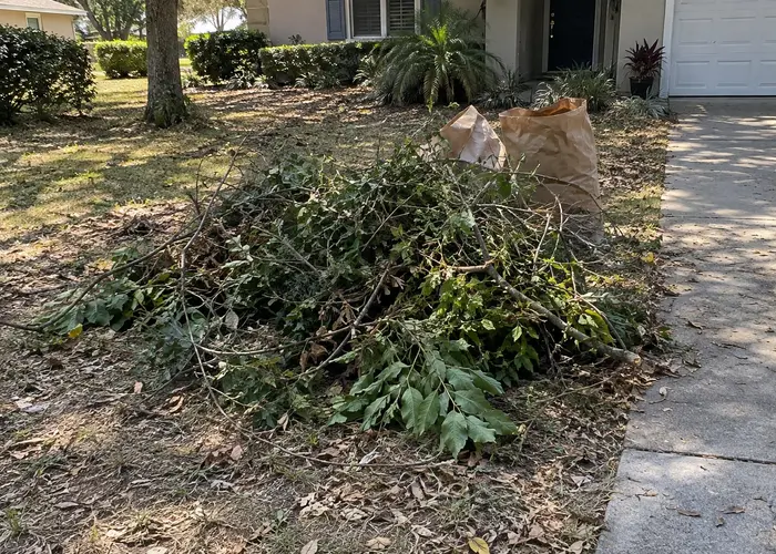Cut branches and yard-waste bags beside a driveway